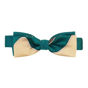 Hand Painted Bow Tie